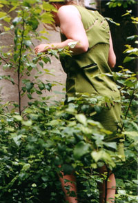jurkje